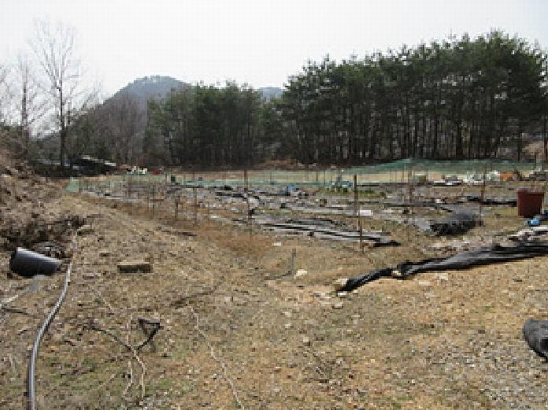 2025타경134 경상북도 문경시 농암면 내서리 741-8 잡종지 경매 이미지