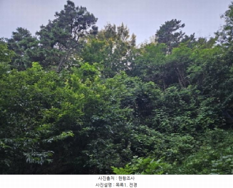 2025타경741 경기도 시흥시 포동 산81-4 임야 경매 이미지