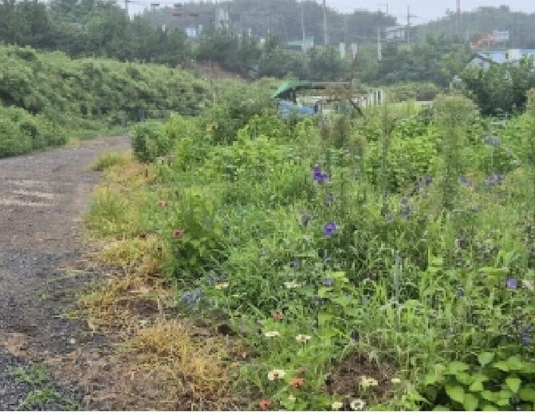 2025타경3938 경상북도 포항시 북구 흥해읍 죽천리 153 농지 경매 이미지