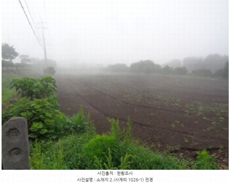 2025타경8255 제주특별자치도 서귀포시 안덕면 사계리 1026-1 농지 경매 이미지