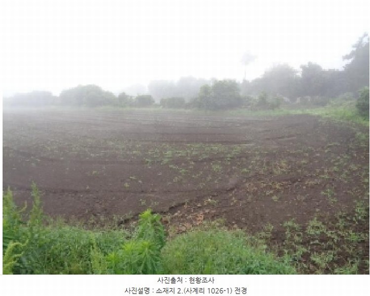 2025타경8255 제주특별자치도 서귀포시 안덕면 사계리 1026-1 농지 경매 이미지