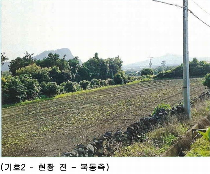 2025타경8255 제주특별자치도 서귀포시 안덕면 사계리 1026-1 농지 경매 이미지