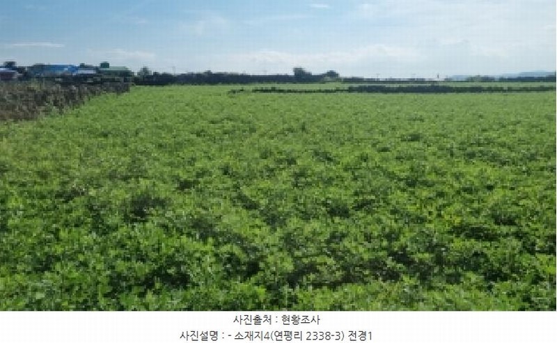 2025타경1698 제주특별자치도 제주시 우도면 연평리 2338-3 농지 경매 이미지
