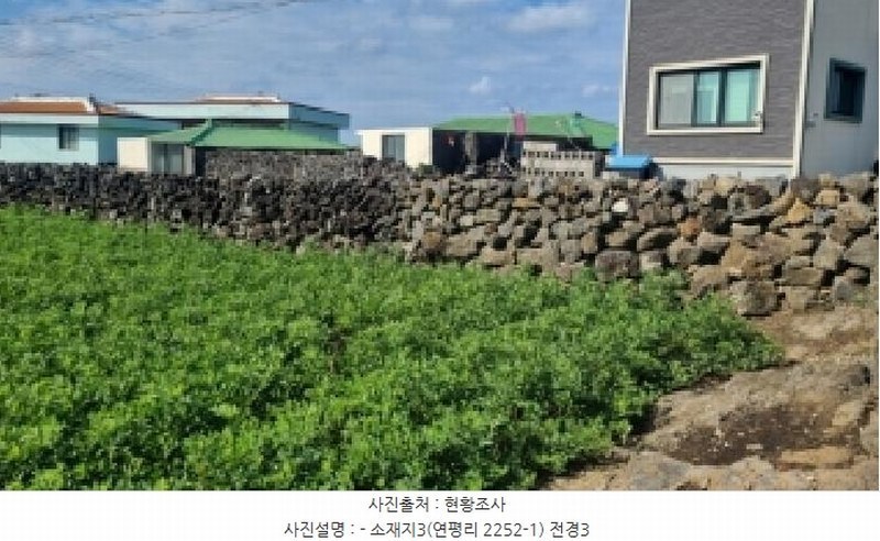 2025타경1698 제주특별자치도 제주시 우도면 연평리 2252-1 대지 경매 이미지