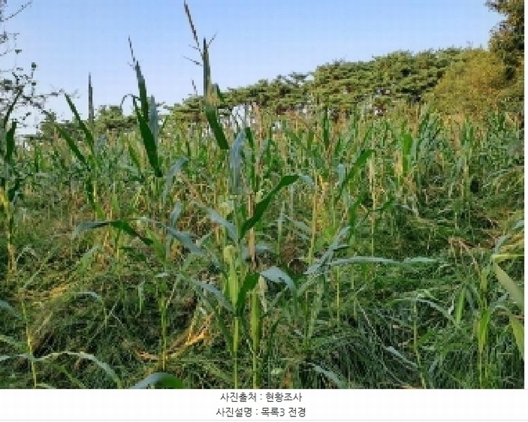 2025타경51619 충청남도 당진시 순성면 나산리 111-4 농지 경매 이미지