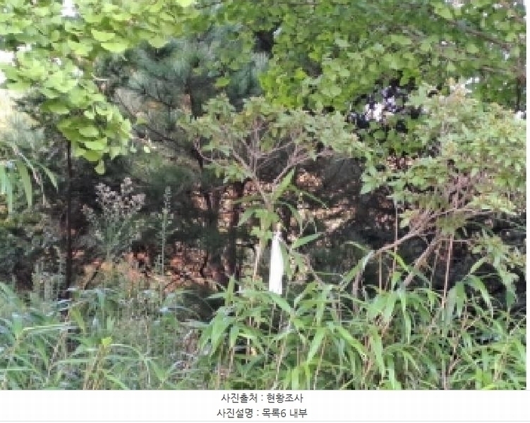 2025타경51619 충청남도 당진시 순성면 나산리 111-4 농지 경매 이미지