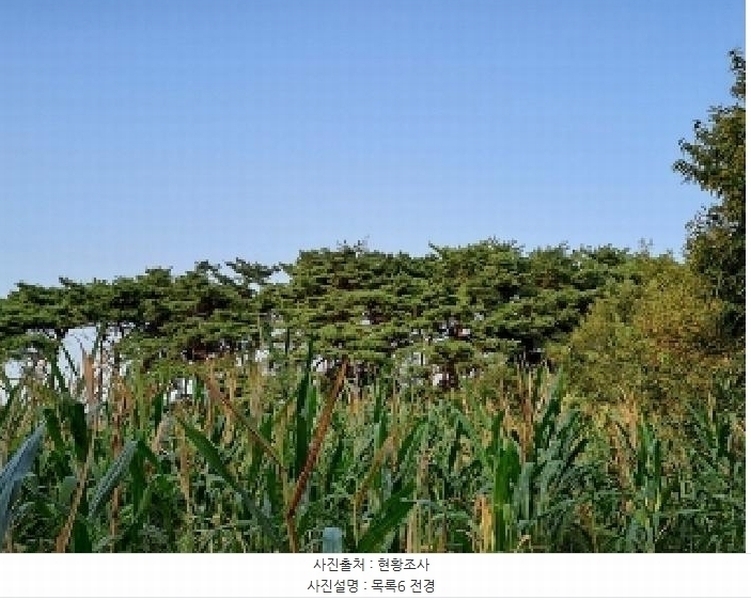 2025타경51619 충청남도 당진시 순성면 나산리 111-4 농지 경매 이미지