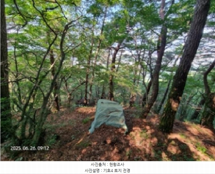 2025타경11660 경상남도 창원시 성산구 토월동 산37 임야 경매 이미지