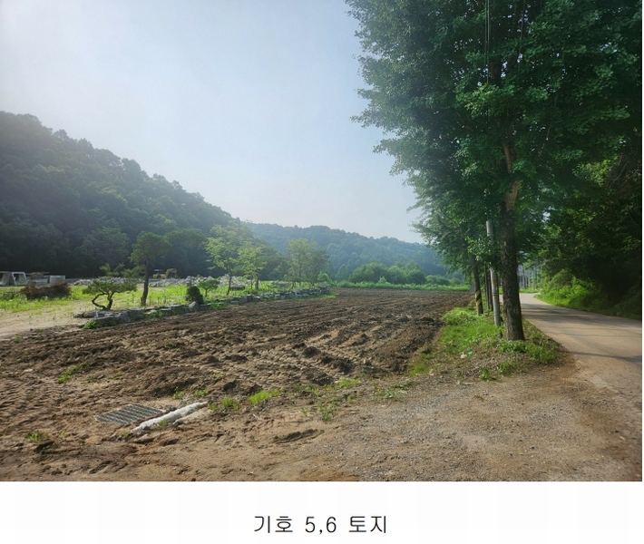 2025타경72612 경기도 연천군 군남면 황지리 1041 농지 경매 이미지