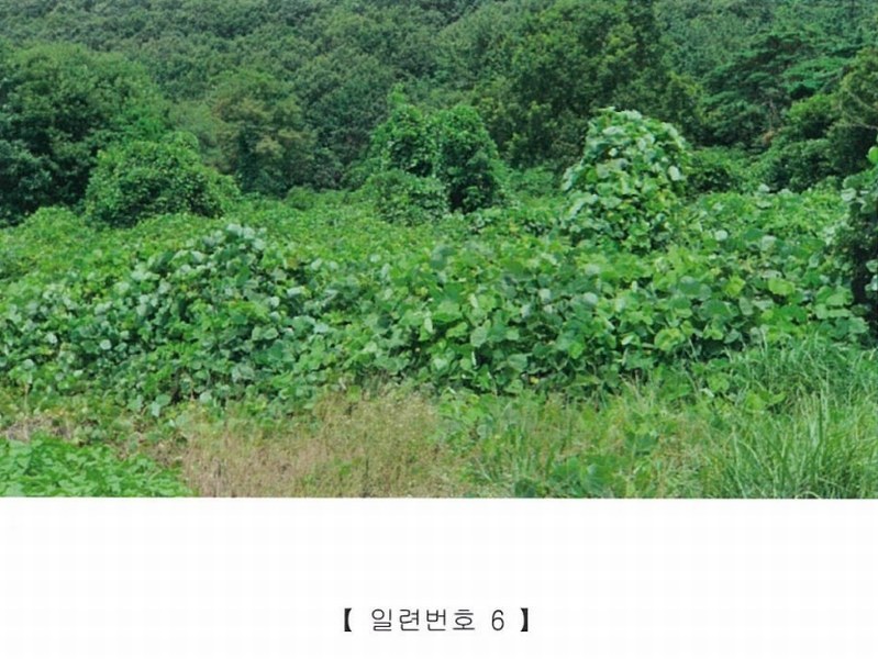 2022타경5329 전라남도 장성군 삼계면 부성리 산78-1 임야 경매 이미지