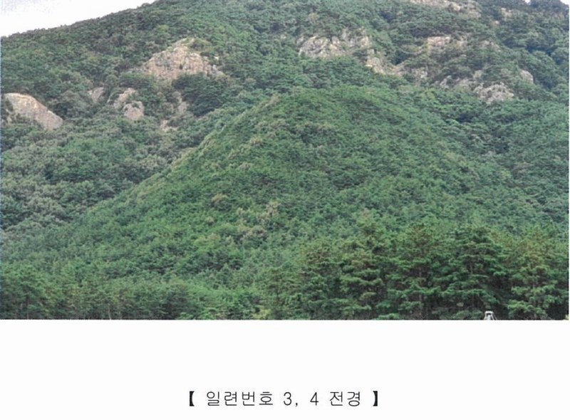 2022타경5329 전라남도 장성군 진원면 진원리 산12-1 임야 경매 이미지