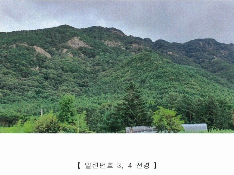 2022타경5329 전라남도 장성군 진원면 진원리 산12-1 임야 경매 이미지