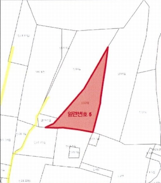 2022타경5329 전라남도 장성군 진원면 진원리 산12-1 임야 경매 이미지