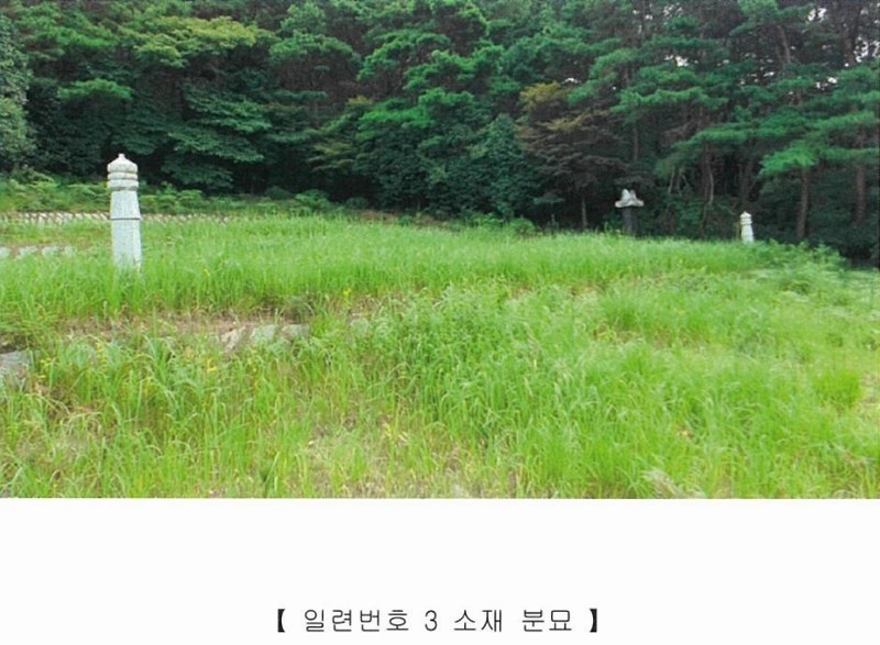 2022타경5329 전라남도 장성군 진원면 진원리 산12-1 임야 경매 이미지