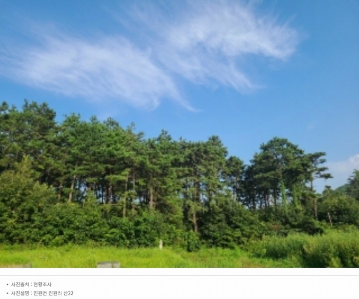 2022타경5329 전라남도 장성군 진원면 진원리 산12-1 임야 경매 이미지