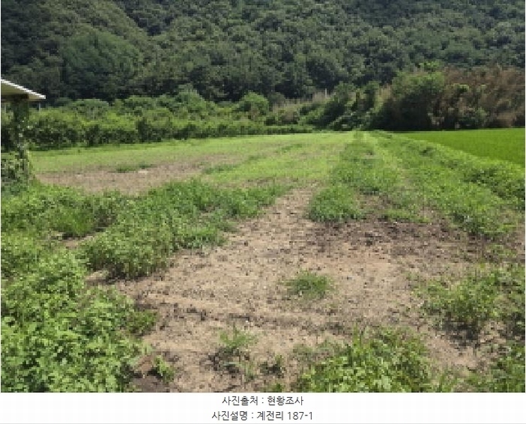 2025타경8450 경상북도 경산시 와촌면 계전리 187-1 농지 경매 이미지