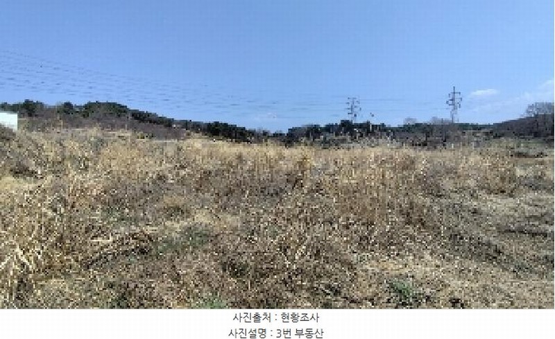 2025타경15595 충청남도 보령시 주교면 주교리 817 농지 경매 이미지