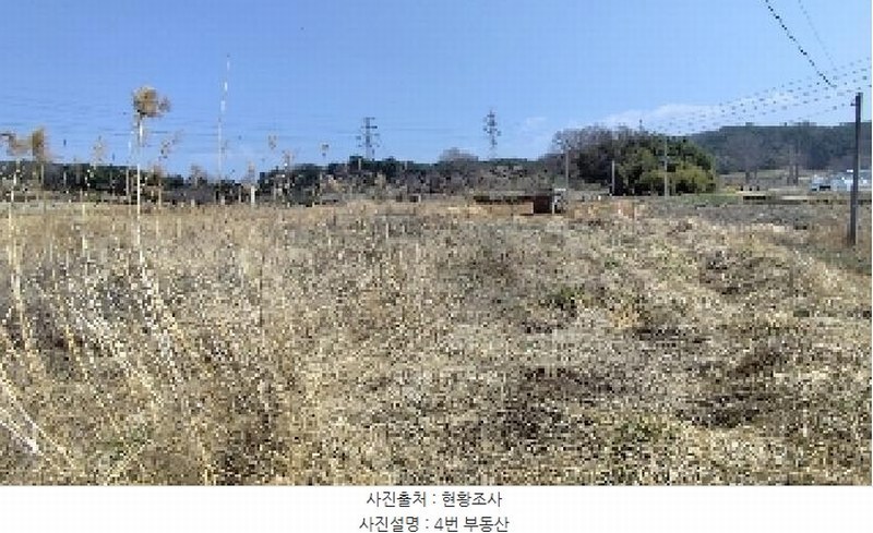 2025타경15595 충청남도 보령시 주교면 주교리 817 농지 경매 이미지