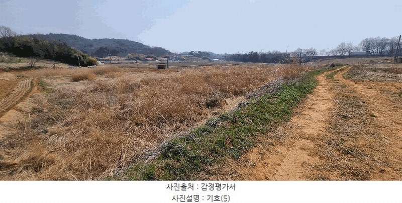 2025타경15595 충청남도 보령시 주교면 주교리 817 농지 경매 이미지