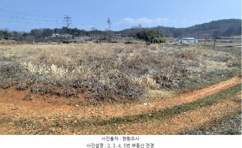 2025타경15595 충청남도 보령시 주교면 주교리 817 농지 경매 이미지