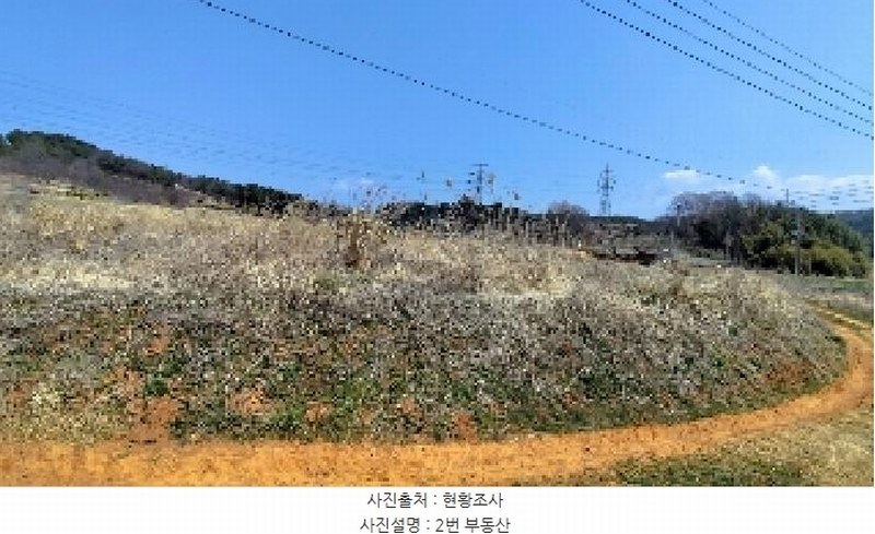 2025타경15595 충청남도 보령시 주교면 주교리 817 농지 경매 이미지