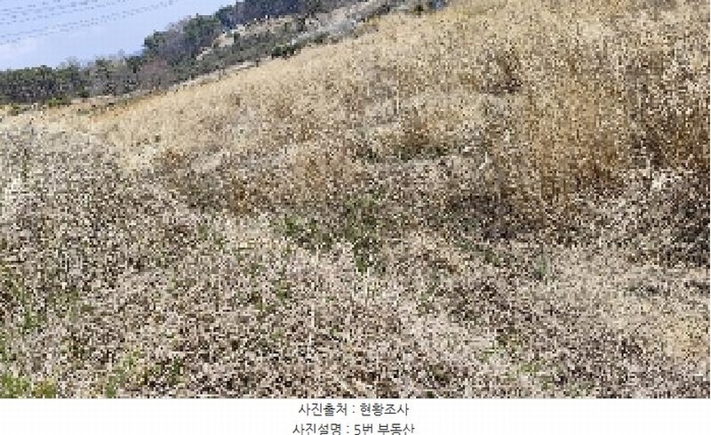 2025타경15595 충청남도 보령시 주교면 주교리 817 농지 경매 이미지