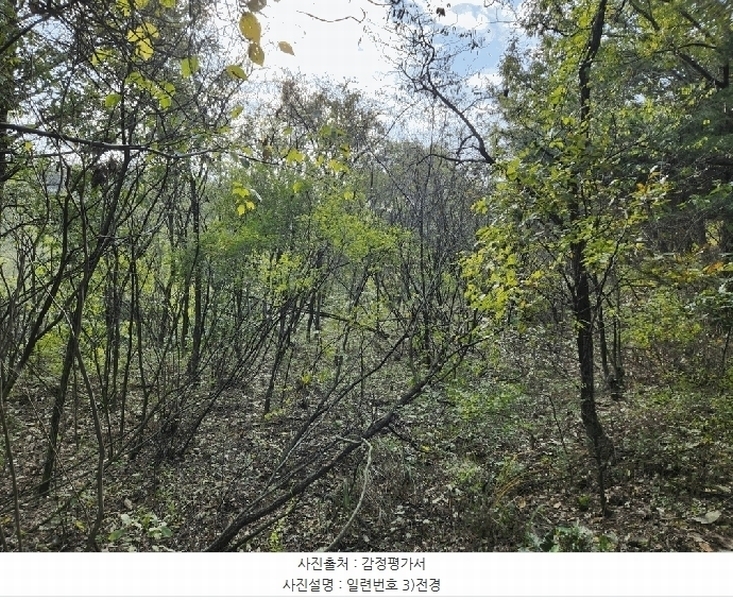 2025타경8815 경상북도 영천시 화산면 효정리 120 농지 경매 이미지