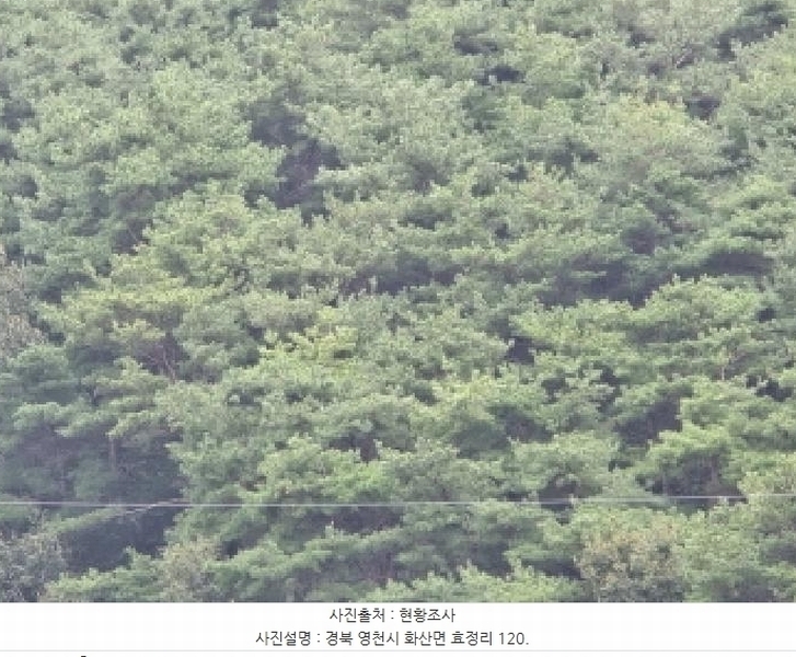 2025타경8815 경상북도 영천시 화산면 효정리 120 농지 경매 이미지