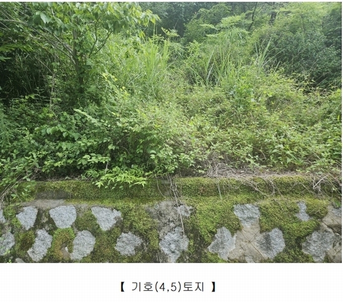 2025타경955 경상북도 청도군 매전면 하평리 1238 농지 경매 이미지