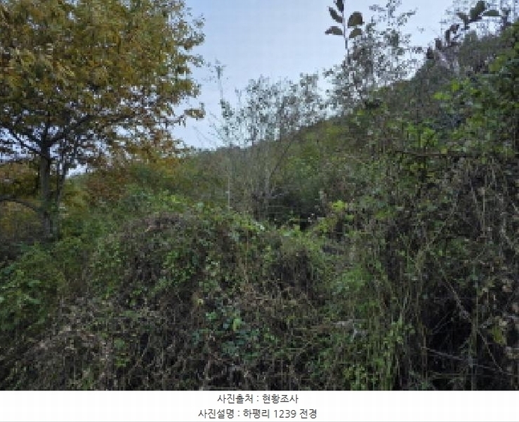 2025타경955 경상북도 청도군 매전면 하평리 1238 농지 경매 이미지