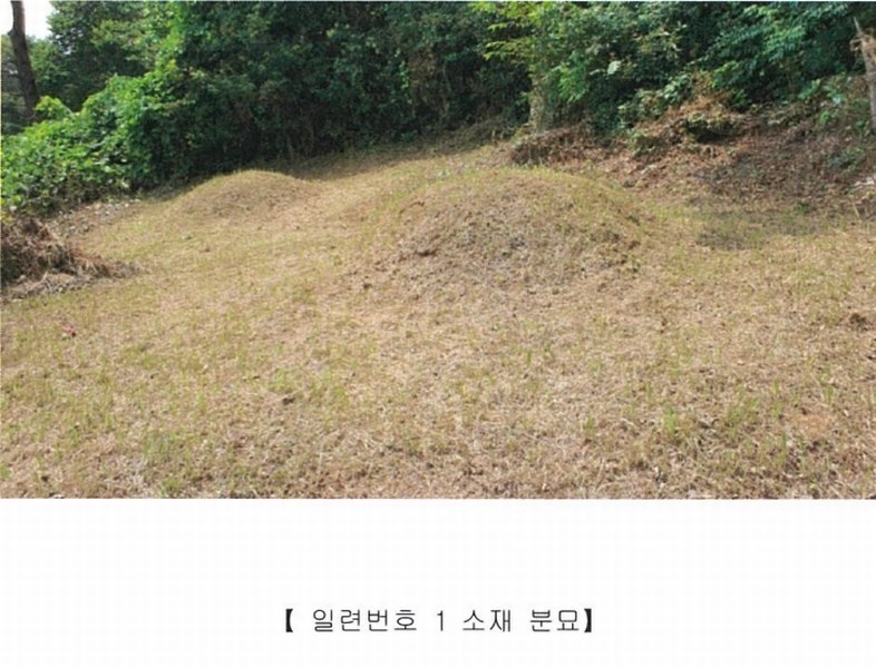 2022타경5329 전라남도 장성군 진원면 율곡리 산2-31 임야 경매 이미지