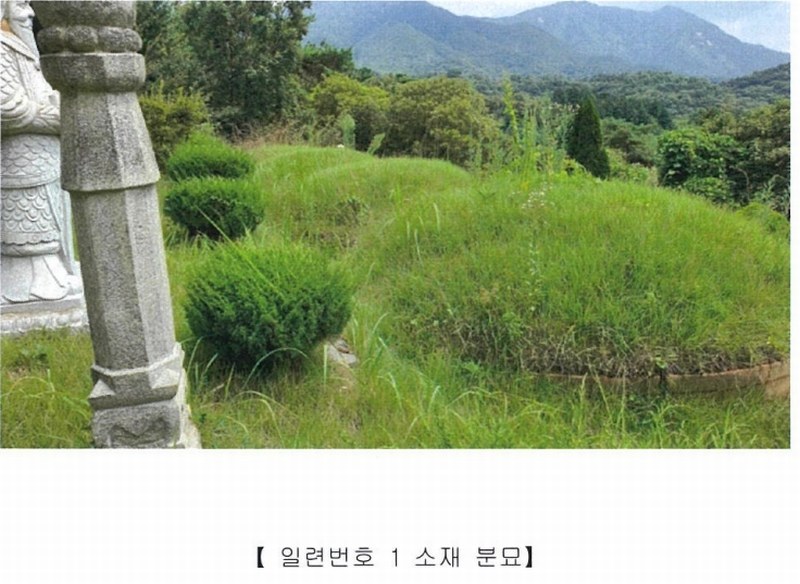 2022타경5329 전라남도 장성군 진원면 율곡리 산2-31 임야 경매 이미지
