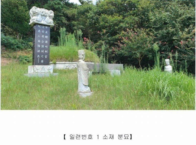 2022타경5329 전라남도 장성군 진원면 율곡리 산2-31 임야 경매 이미지