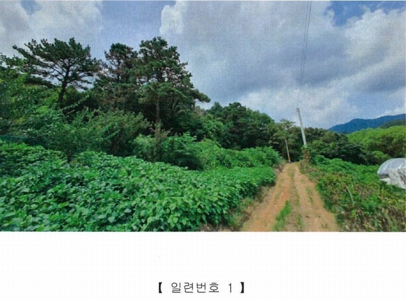 2022타경5329 전라남도 장성군 진원면 율곡리 산2-31 임야 경매 이미지