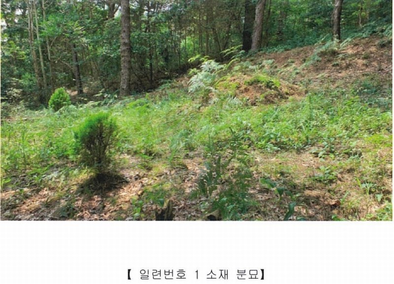 2022타경5329 전라남도 장성군 진원면 율곡리 산2-31 임야 경매 이미지