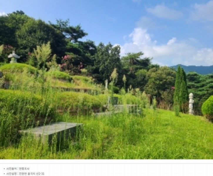 2022타경5329 전라남도 장성군 진원면 율곡리 산2-31 임야 경매 이미지