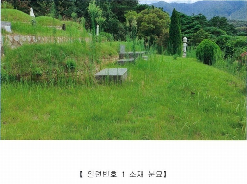 2022타경5329 전라남도 장성군 진원면 율곡리 산2-31 임야 경매 이미지