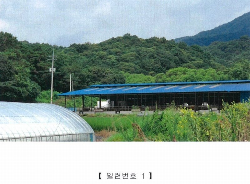 2022타경5329 전라남도 장성군 진원면 율곡리 산2-31 임야 경매 이미지