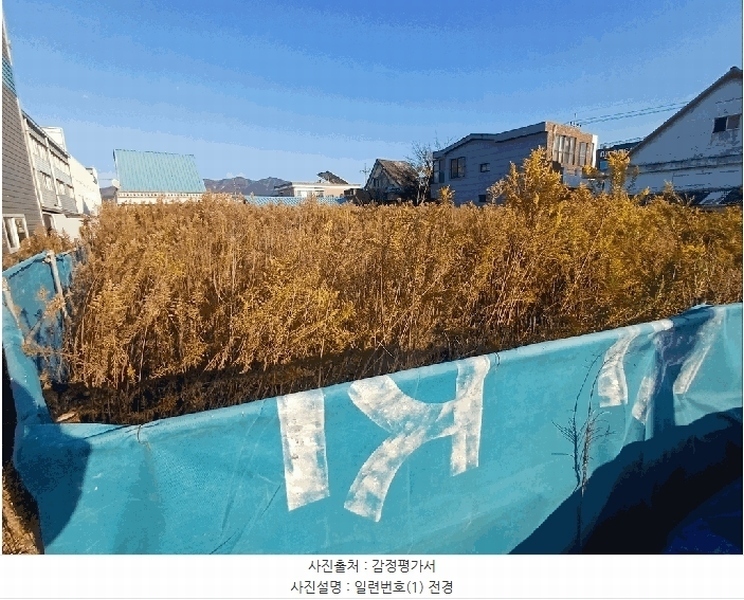 2025타경4078 부산광역시 강서구 대저2동 2637-1 대지 경매 이미지