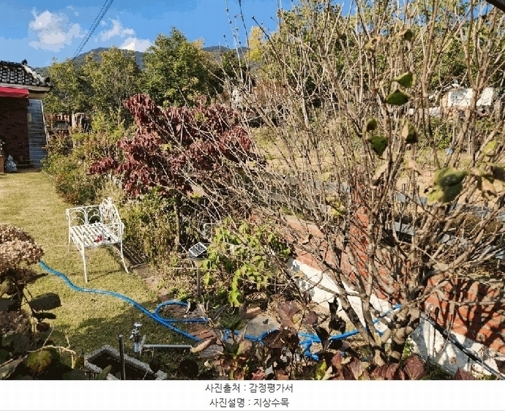 2025타경8815 경상북도 칠곡군 동명면 득명리 200 주택 경매 이미지