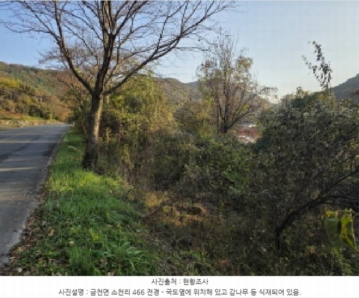 2025타경8926 경상북도 청도군 금천면 소천리 466 농지 경매 이미지