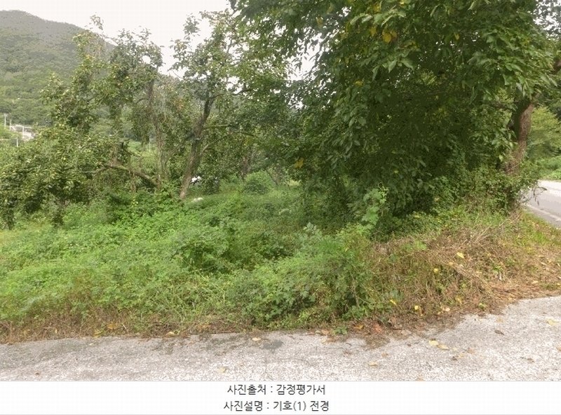 2025타경8926 경상북도 청도군 금천면 소천리 466 농지 경매 이미지