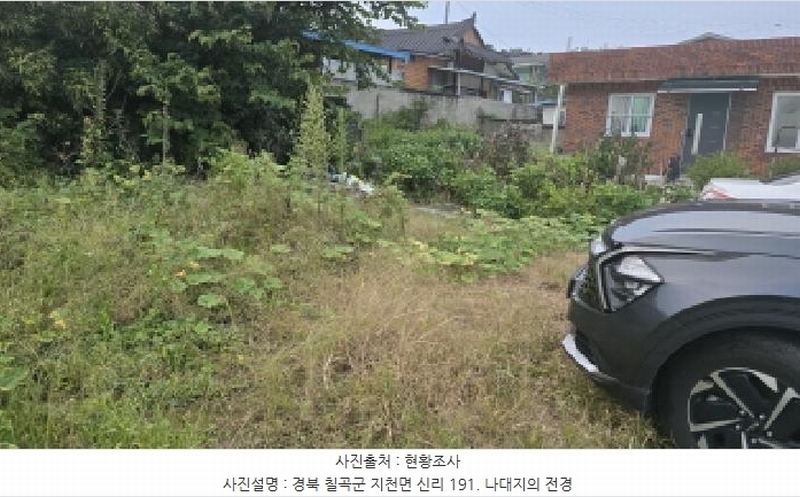 2025타경1019 경상북도 칠곡군 지천면 신리 191 대지 경매 이미지
