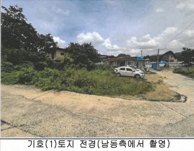 2025타경1019 경상북도 칠곡군 지천면 신리 191 대지 경매 이미지