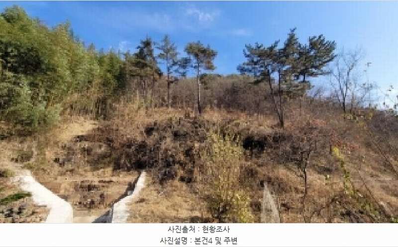 2025타경21011 경상남도 의령군 정곡면 중교리 1098 임야 경매 이미지