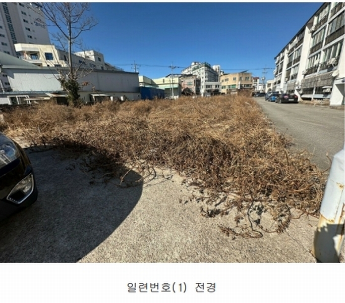 경매 이미지
