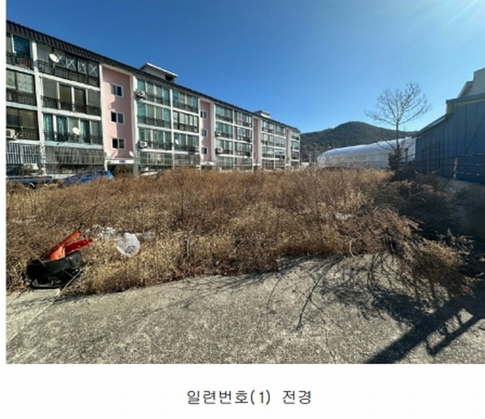 경매 이미지