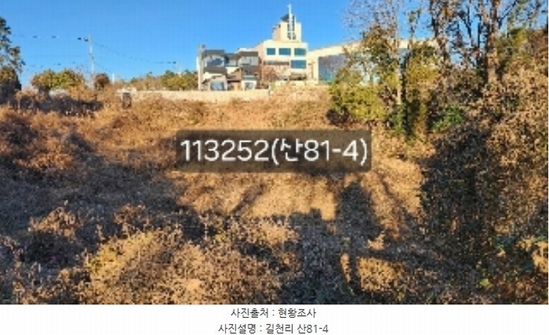 경매 이미지