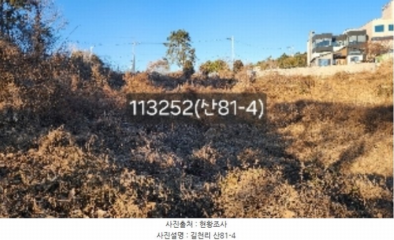 경매 이미지