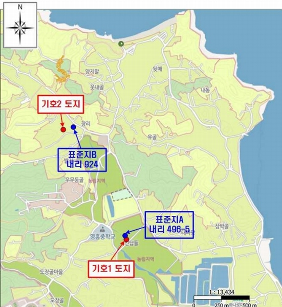 경매 이미지